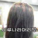정아머리방 - 성남시 수정구 | 정아머리방