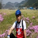 내서읍538 이미지