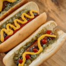 다Dog다Dog 이미지