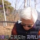 봉문농장 티스토리