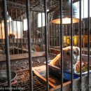 진열농장 이미지