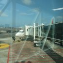 호텔앨리스앤트렁크 이미지