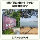 체로키캠핑장 | 태안 애견 동반, 갯벌체험이 가능한 체로키 캠핑장 방문 후기