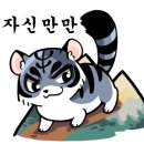 브이아이피광택 - 10818 | 브이아이피광택
