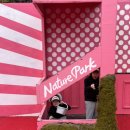 대자연유치원 | 카피바라 때문에 재방문 각 대구 네이처파크 솔직후기