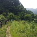 강산자연농장 이미지