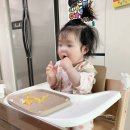 케세라요가 | 아기 첫 식판 트립트랩쓰면 모윰 흡착식판 3개월 사용해본 찐후기