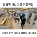 마리앤쥬 이미지