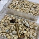 글로리아펜션 이미지