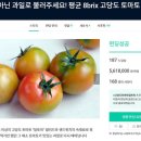 달토
