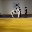 파라에스트라 이미지