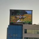 대호광고 이미지