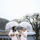산정리 그옛집 네이버블로그