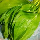 지리산황치마을영농조합법인 이미지