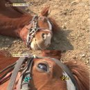 진강 이미지