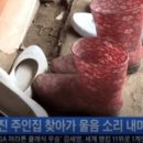 소가 이미지