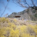 상화마을회관 이미지