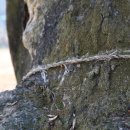 청양에너지 이미지