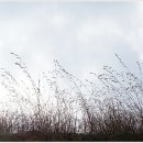 속리산(청주) 이미지