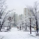 지구촌부동산공인중개사사무소 이미지