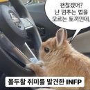 어린이를 위한 클래식 <음악으로 그린 그림> | 월레스와 그로밋-감상 순서,OTT, 그로밋 귀여운 짤,펭귄(페더스 맥그로우),감상 후기