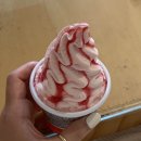 미녀국수월정 네이버블로그