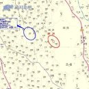 제주 조천읍 와흘리 임야(지분경매와 우선매수권) - 제주도 임야 경매 제주 부동산 이미지