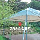 힐링애견 | [애견동반 여행] 강화도 캠핑장 추천｜고려산힐링캠프 애견동반·계곡캠핑 솔직 후기