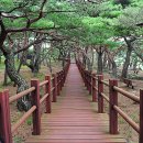 서포리관광지 이미지