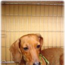 서부새생명약국 이미지