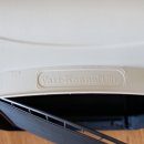 금비켄넬 이미지