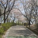 스마일부동산중개사무소 | 창원에 있는 포레나부동산의 매력적인 중개 서비스 대탐구