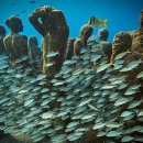 C ART MUSEUM 이미지