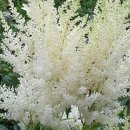 장미마트 이미지