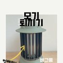 여름여행 필수품 캠핑필수품 버그둠 모기퇴치기 사용해본 솔직후기