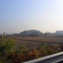 복합영농 이미지