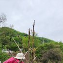 베일리코티지
