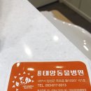 태양 동물병원 이미지