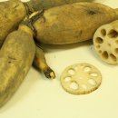 든든한 집 이미지