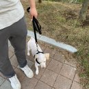 이재룡의 뭉개뭉개유치원 이미지