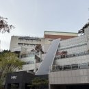 마래푸약국 네이버블로그