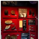 우석헌자연사박물관 이미지