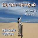 돌고래주유소 | 시드니 자유여행 (6) : 포트스테판 당일 투어 후기 (돌핀 크루즈, 샌드보딩, 와이너리)
