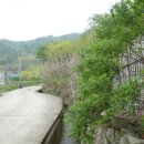 대산농장 이미지