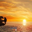 볼트컴퍼니 이미지