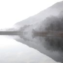 오성비디오 이미지