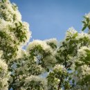 수완함소아한의원 이미지