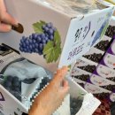 송탄농협본점 이미지