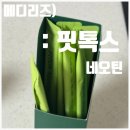 하체 살에 효과 좋다는 메디리즈 핏톡시 네오틴 내돈내산 리얼 후기