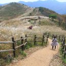 삼례약수 이미지